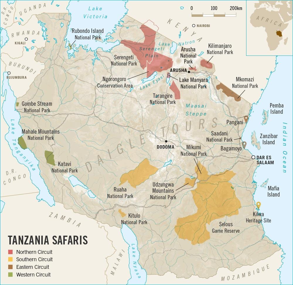 Tanzanya safari göster 