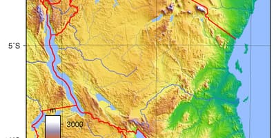 Tanzanya topografik harita